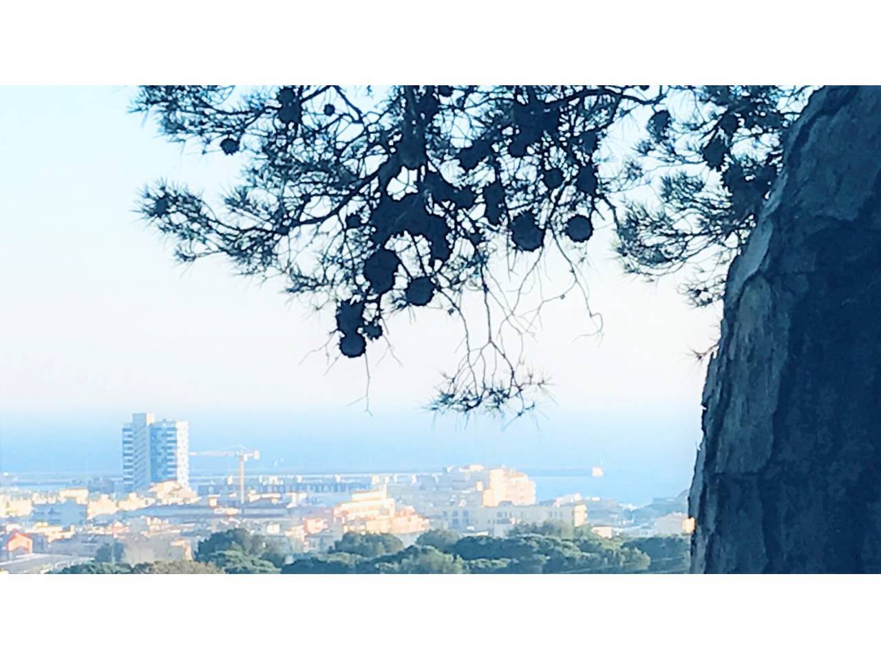 VP-BALITRÀ - Imagen# 5